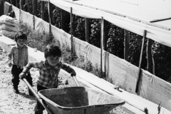 Bambini in strada: dall’archivio di Giuseppe Leone