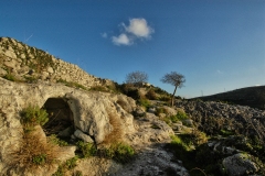 Necropoli-Cda-Renna-Ragusa