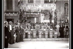 La Festa dell'Uva